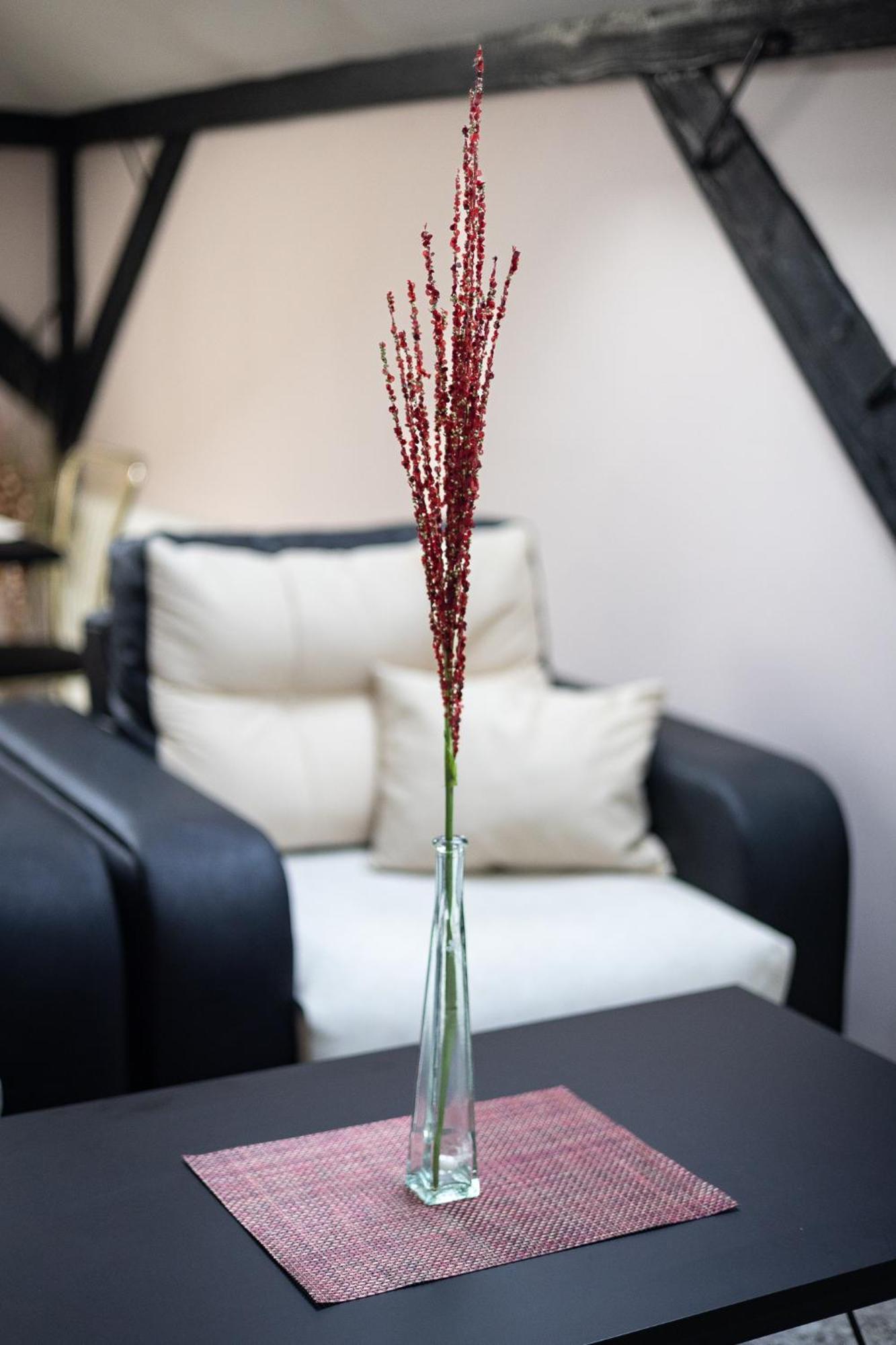 He-Ra Apartments With Free Parking Скопье Номер фото